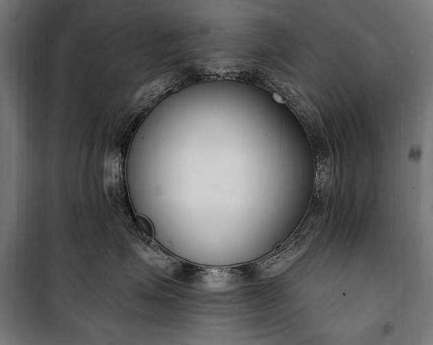 X0000100320623200806121105