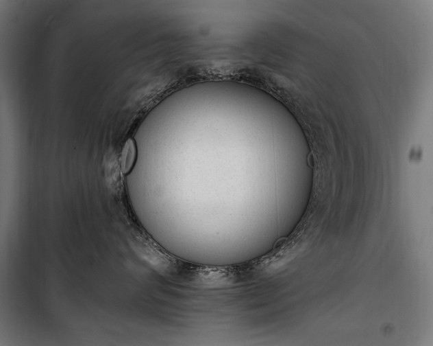 X0000100320624200806121105