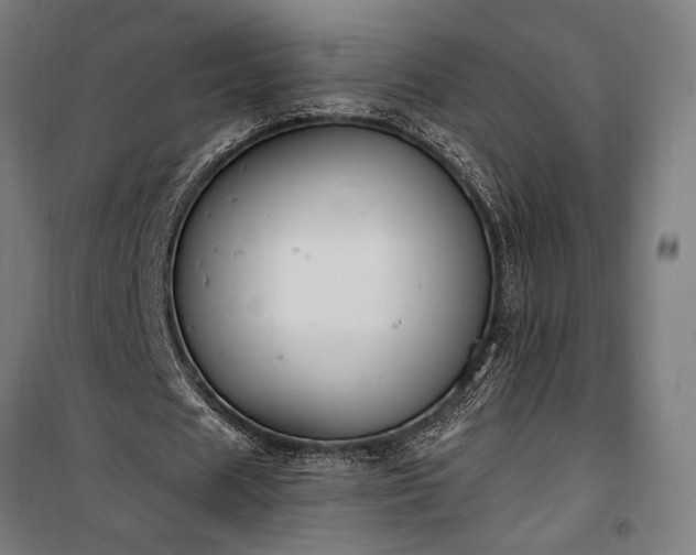 X0000100320625200806121105