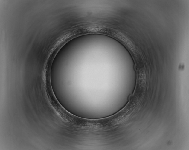 X0000100320626200806121105