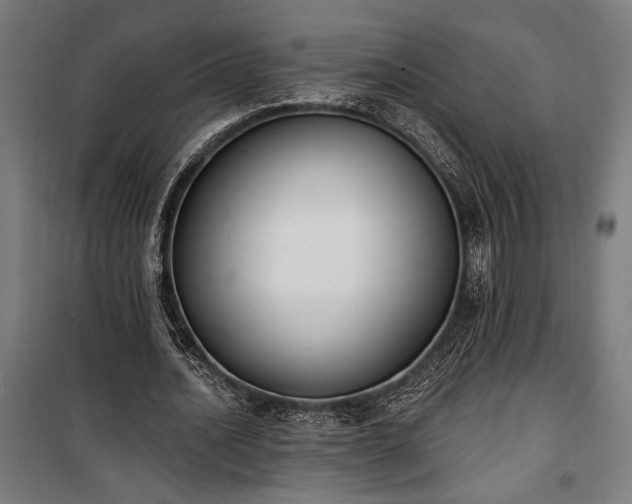 X0000100320628200806121105