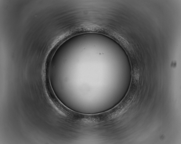 X0000100320630200806121105