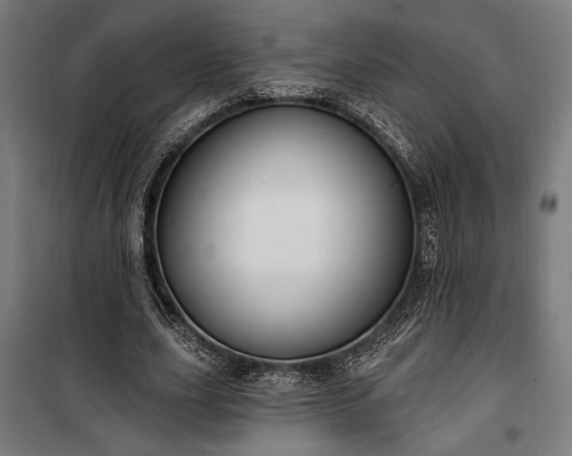 X0000100320631200806121105