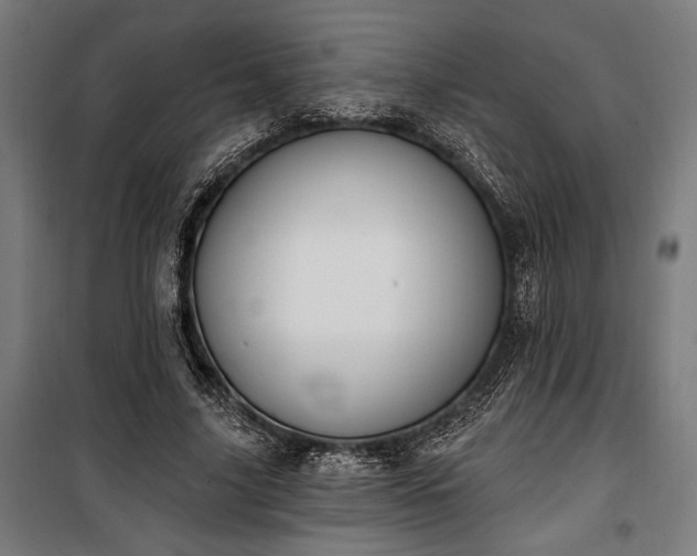 X0000100320635200806121105