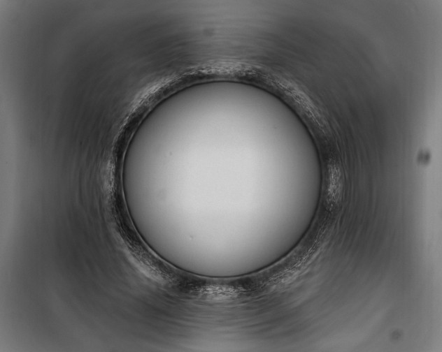 X0000100320636200806121105