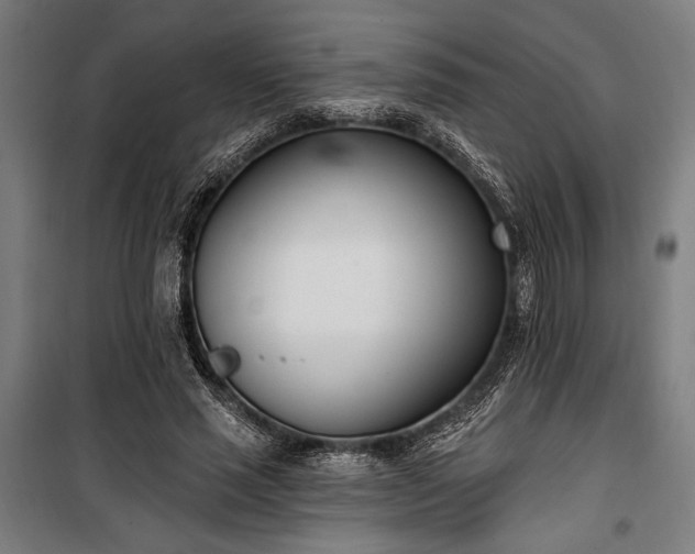 X0000100320637200806121105