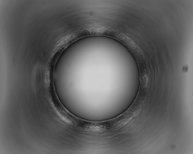 X0000100320638200806121105