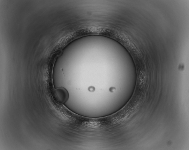 X0000100320639200806121105