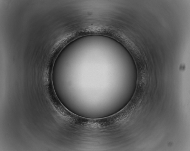 X0000100320640200806121105