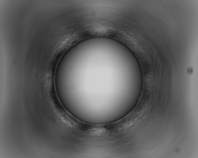 X0000100320642200806121105