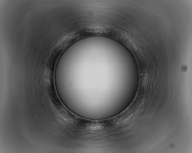 X0000100320643200806121105