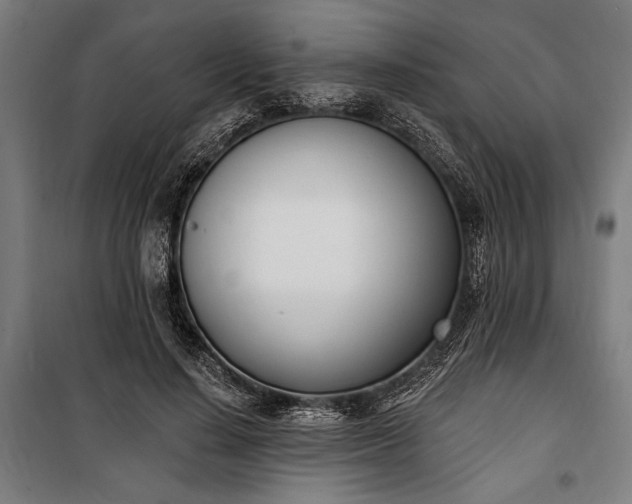 X0000100320644200806121105