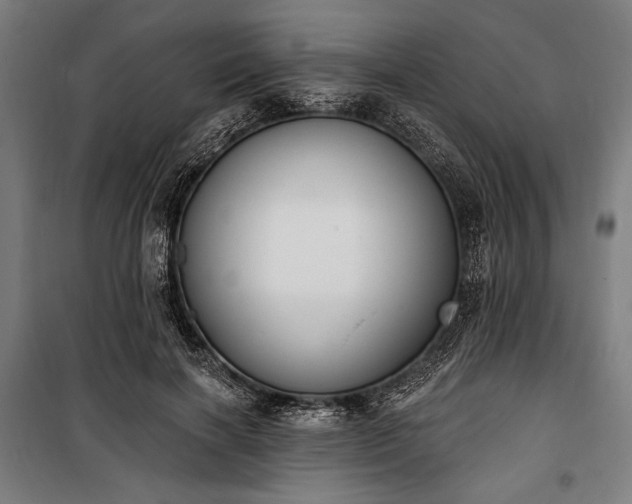 X0000100320646200806121105