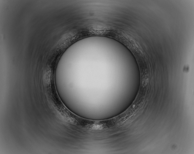 X0000100320647200806121105