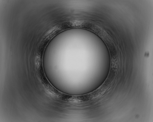 X0000100320648200806121105