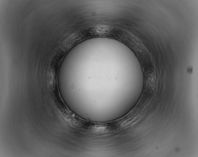 X0000100320651200806121105