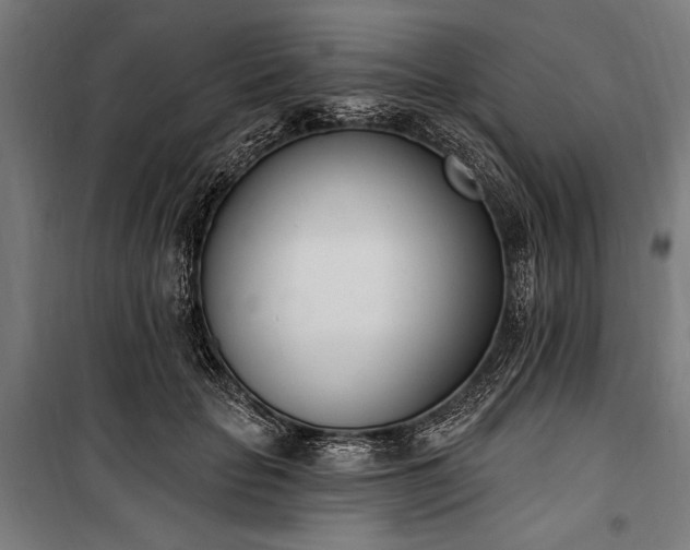 X0000100320653200806121105