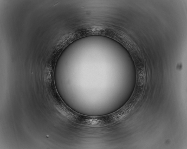 X0000100320654200806121105