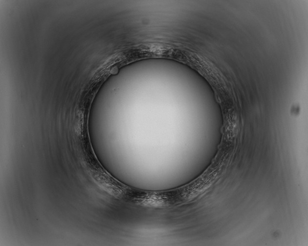 X0000100320656200806121105