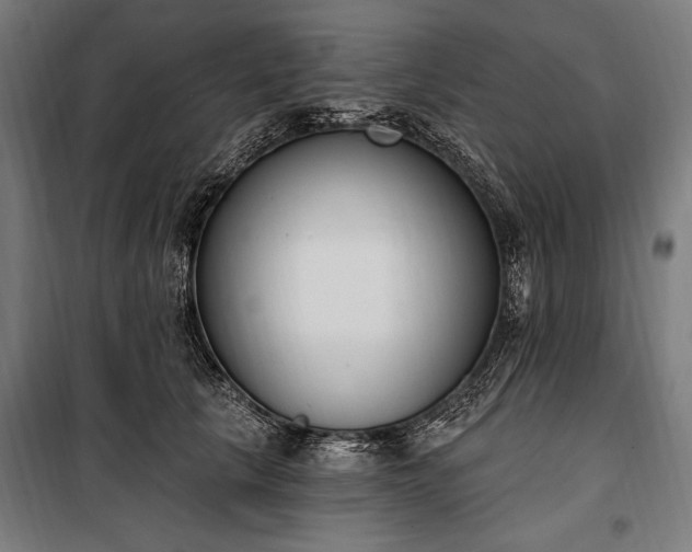 X0000100320657200806121105