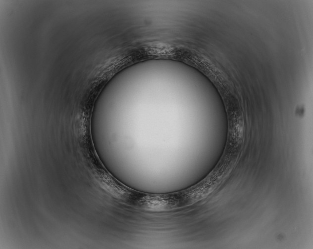 X0000100320658200806121105