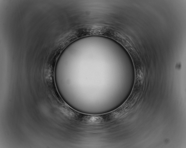 X0000100320663200806121105