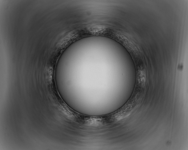 X0000100320664200806121105