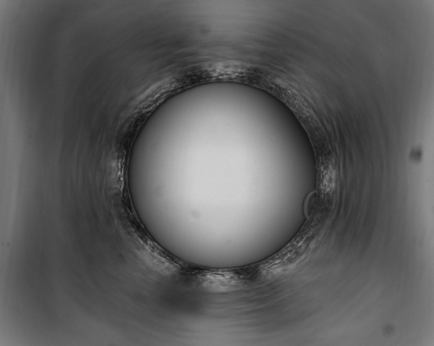 X0000100320666200806121105