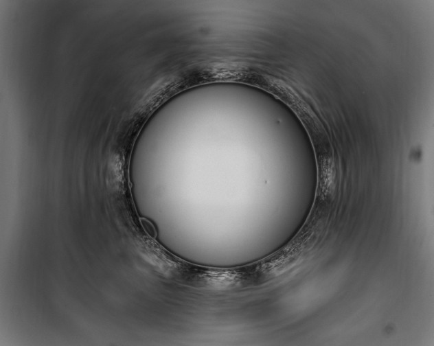 X0000100320667200806121105