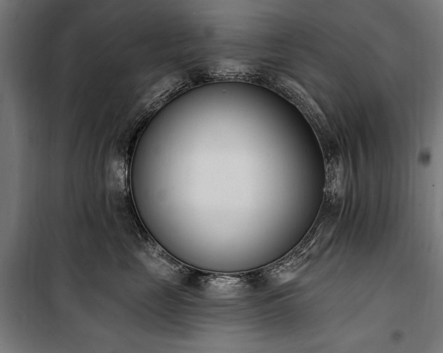 X0000100320669200806121105