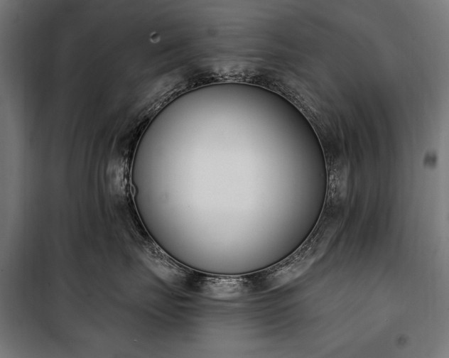 X0000100320671200806121105