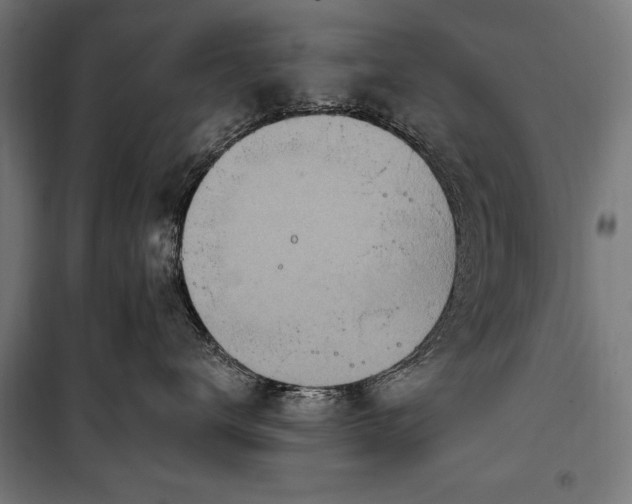 X0000100320672200806121105