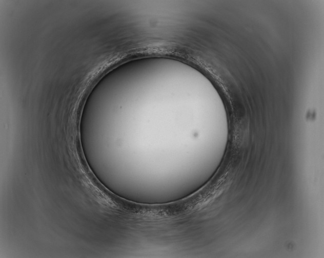 X0000100320673200806121105