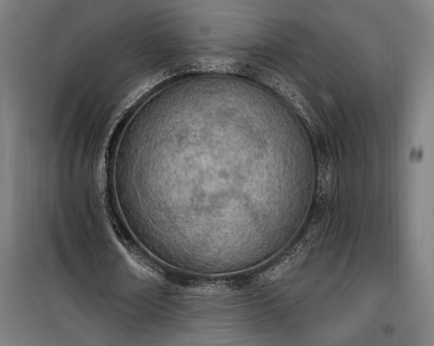 X0000100320674200806121105