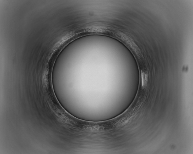 X0000100320675200806121105