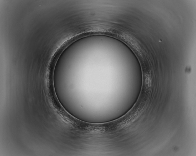 X0000100320676200806121105