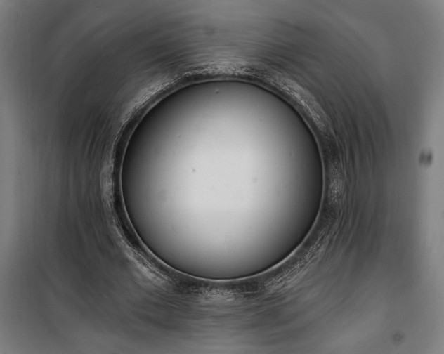 X0000100320677200806121105