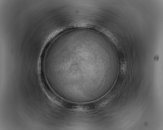 X0000100320678200806121105