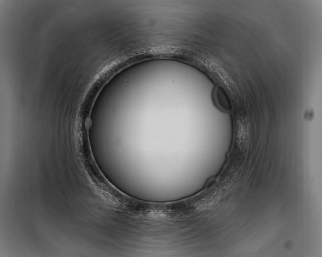 X0000100320684200806121104