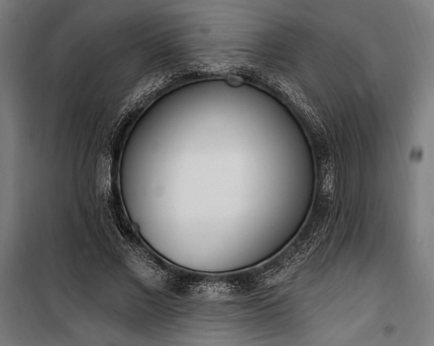 X0000100320685200806121104