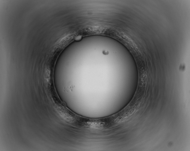 X0000100320693200806121104