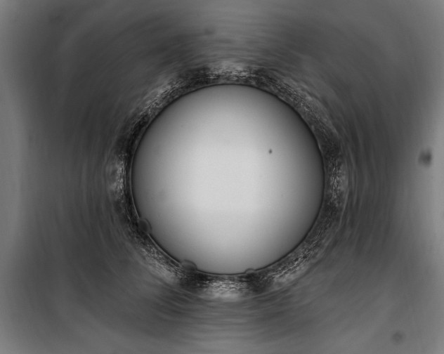 X0000100320708200806121104