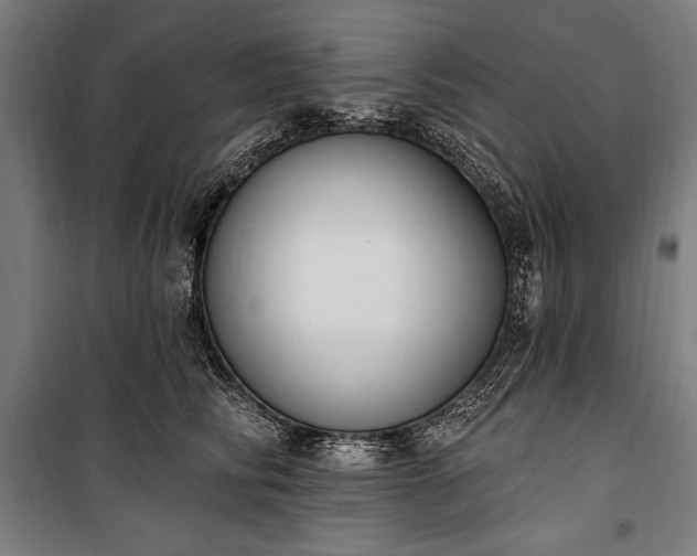 X0000100320710200806121104