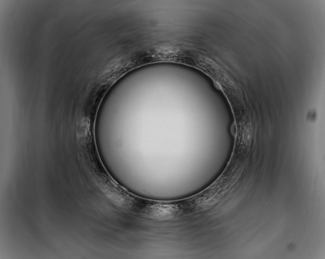 X0000100320711200806121104