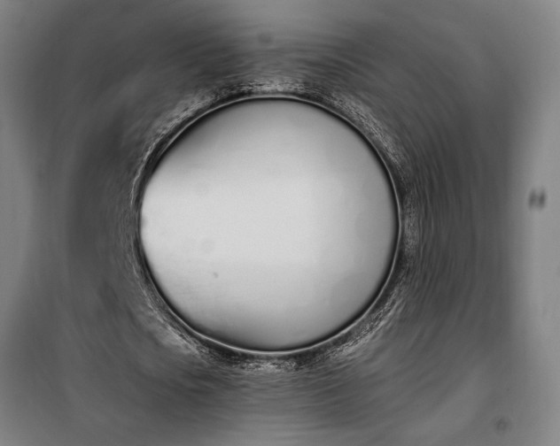 X0000100320721200806121103