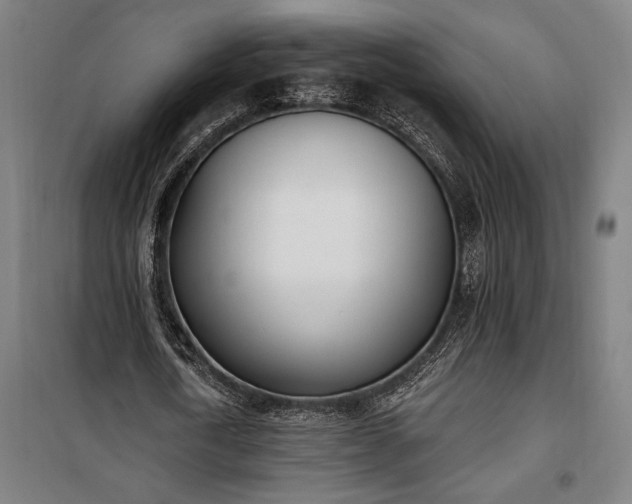 X0000100320722200806121103