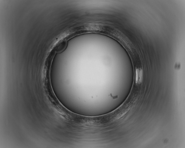 X0000100320723200806121103