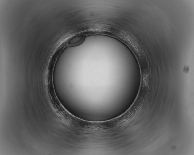 X0000100320724200806121103