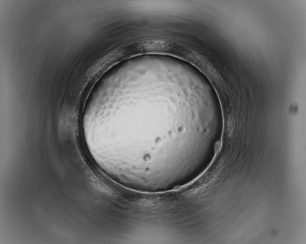 X0000100320725200806121103