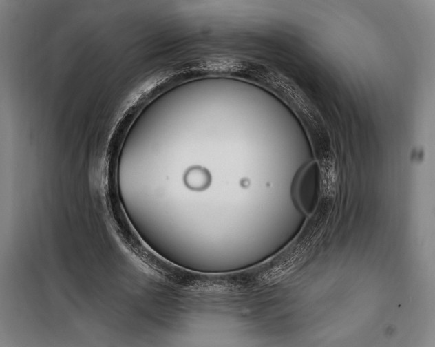 X0000100320726200806121103